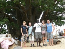 Mission DARABAO - 2011 &raquo; 4ème journée  les baobabs de Nianing, Samba